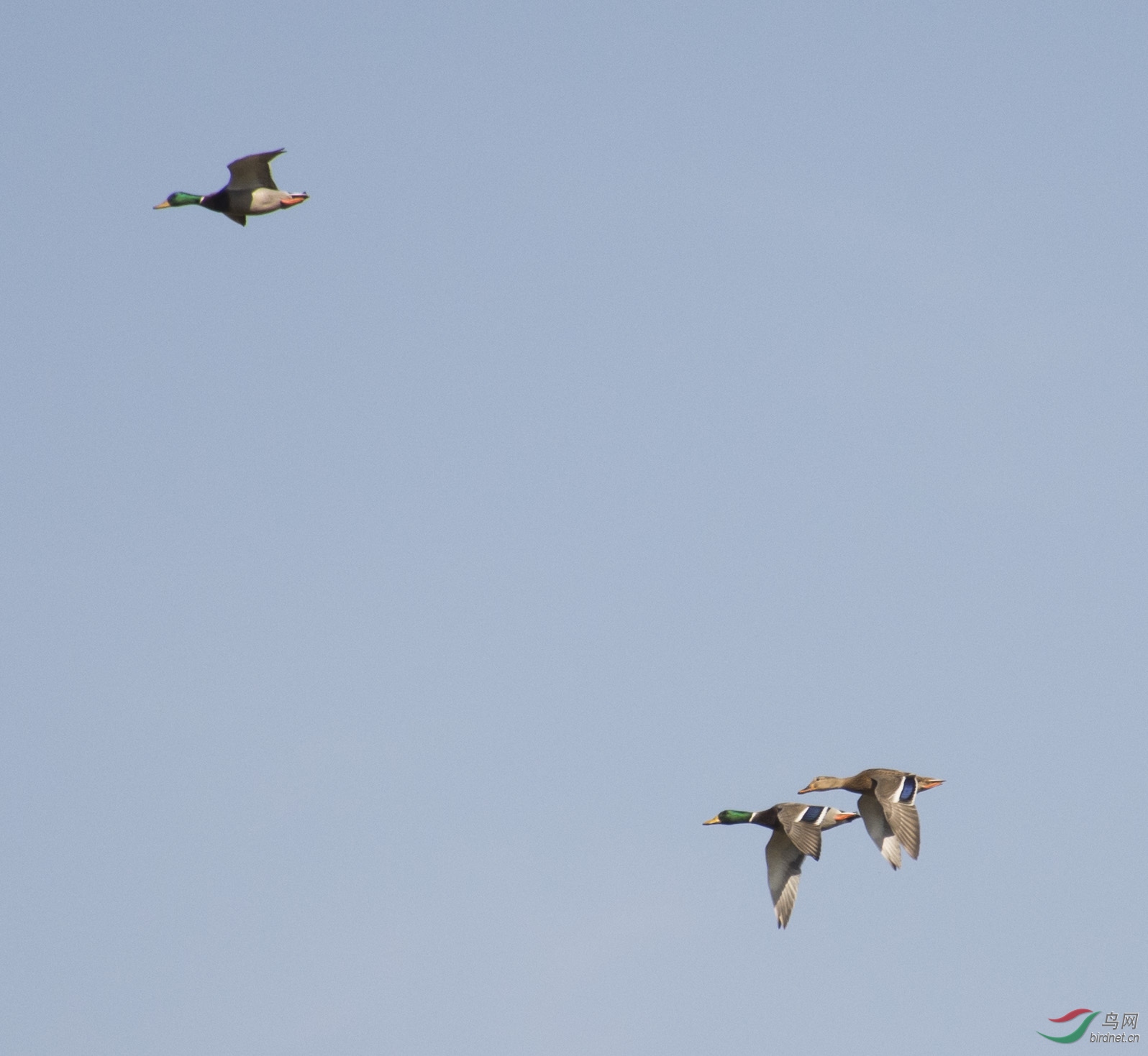 DSC_3375.jpg