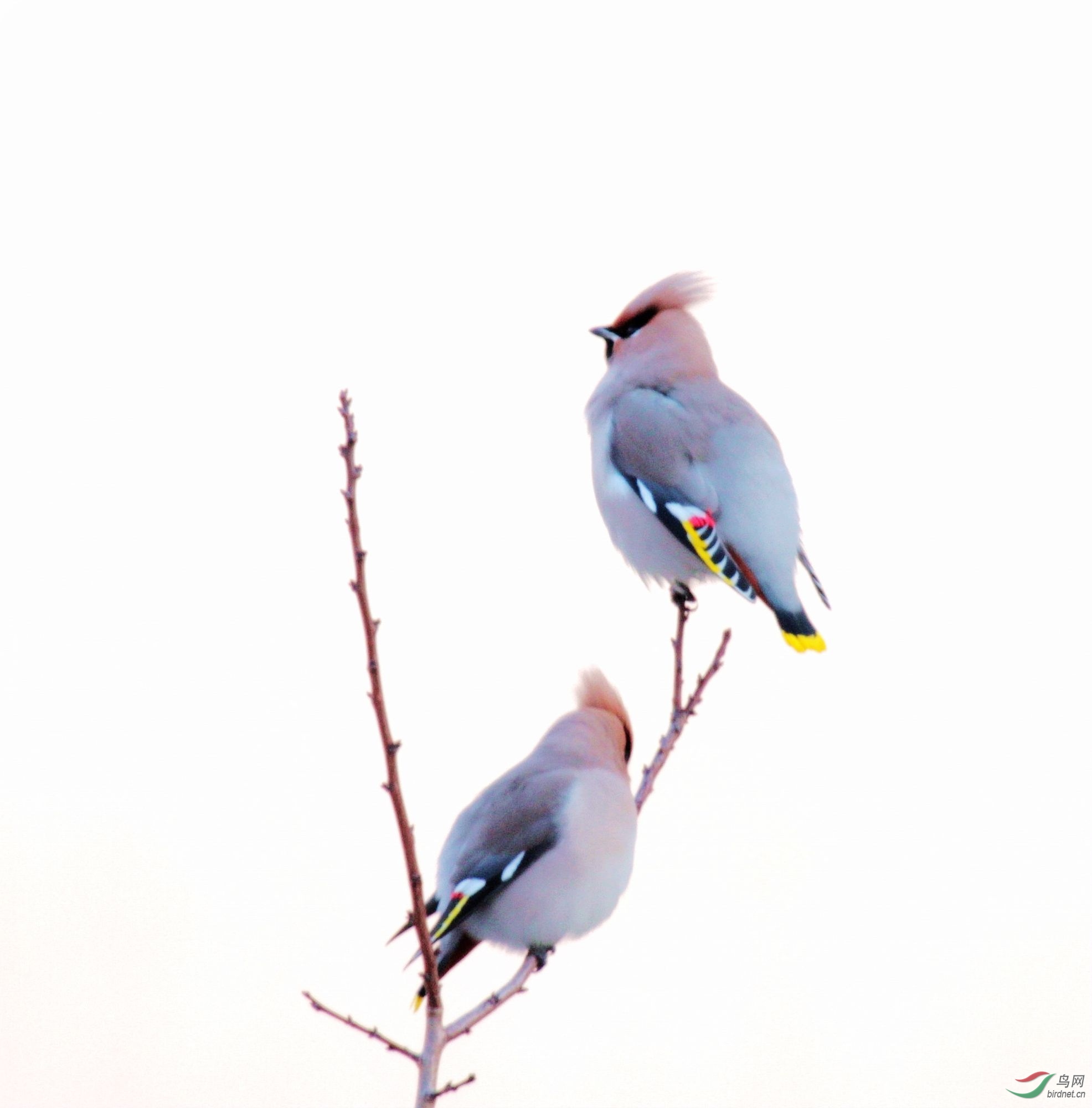 IMG_9443 2000.jpg