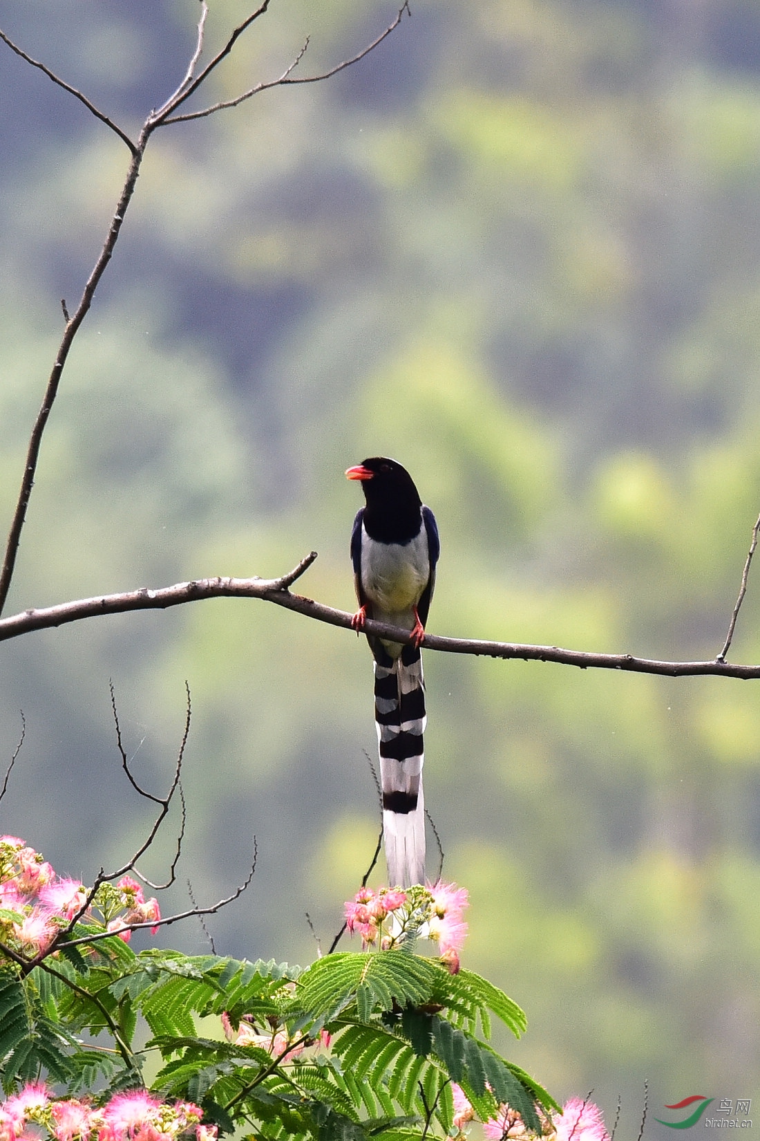DSC_1094.JPG
