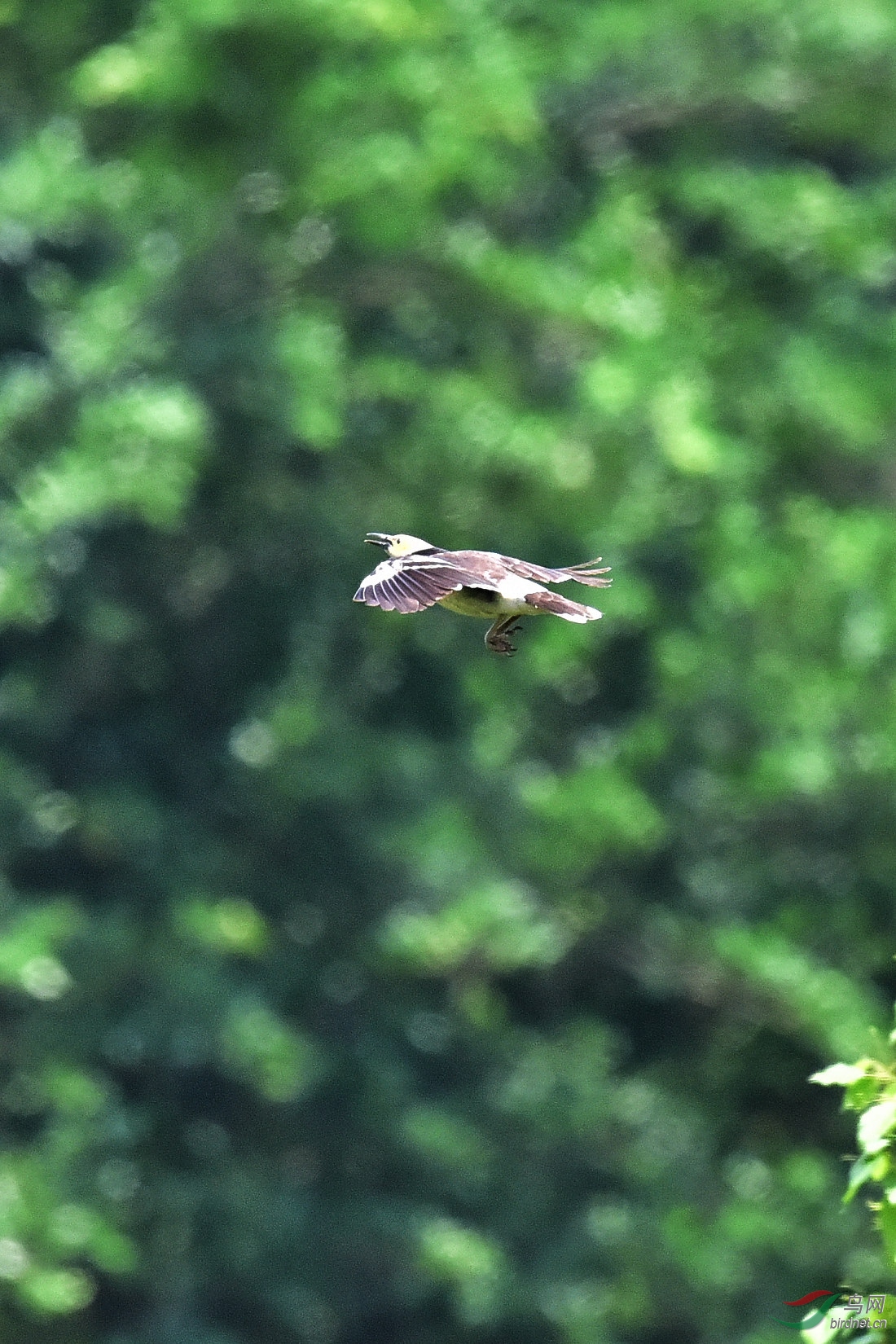 DSC_0663.JPG
