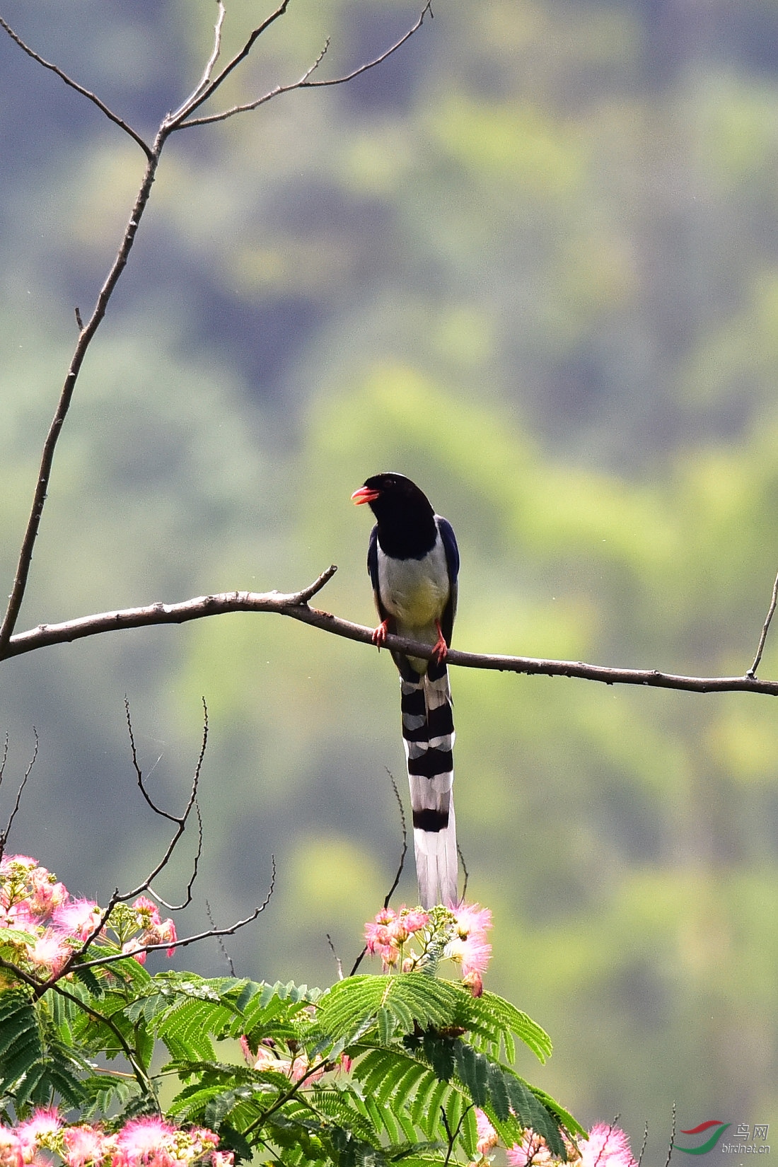 DSC_1096.JPG