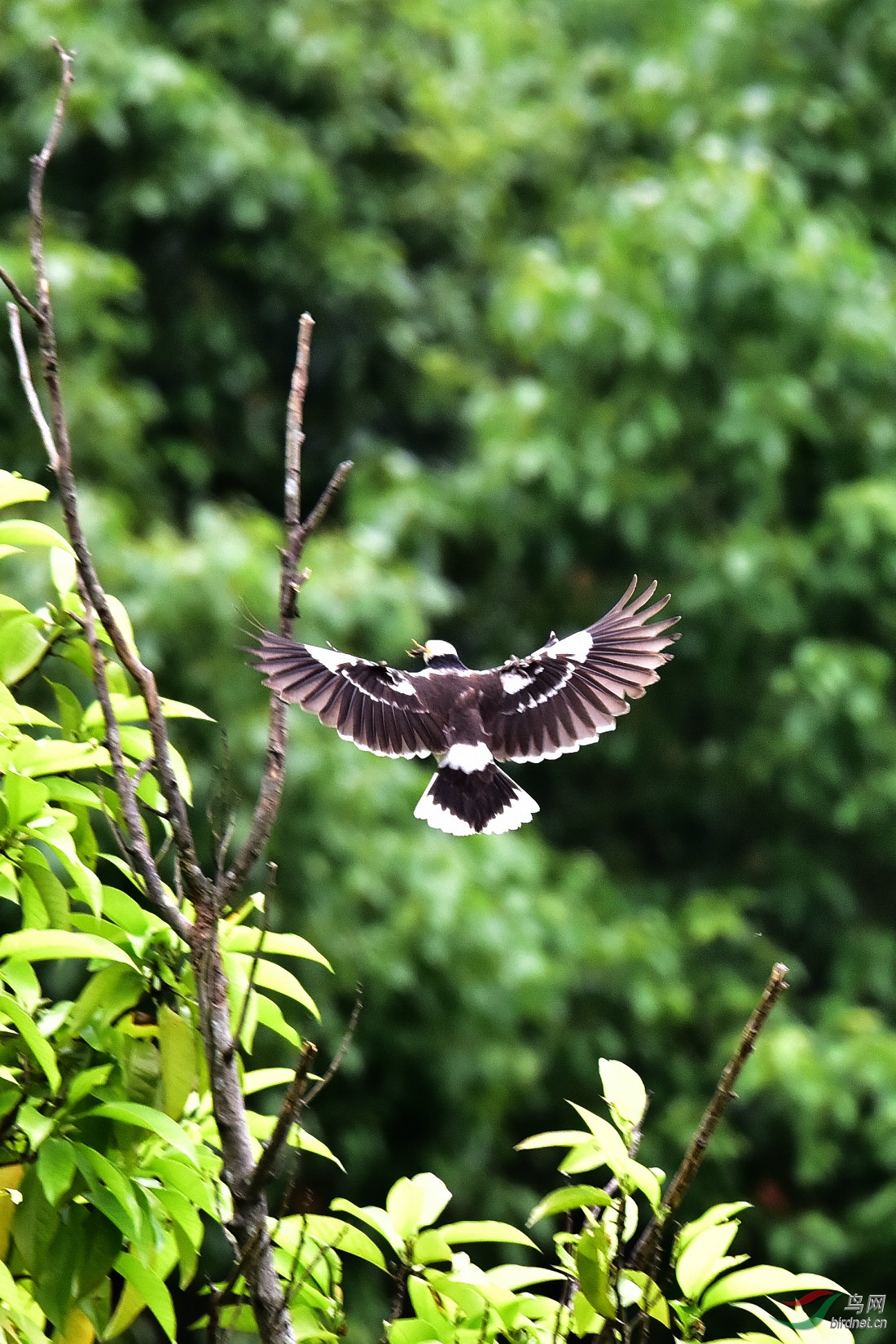 DSC_0666.JPG