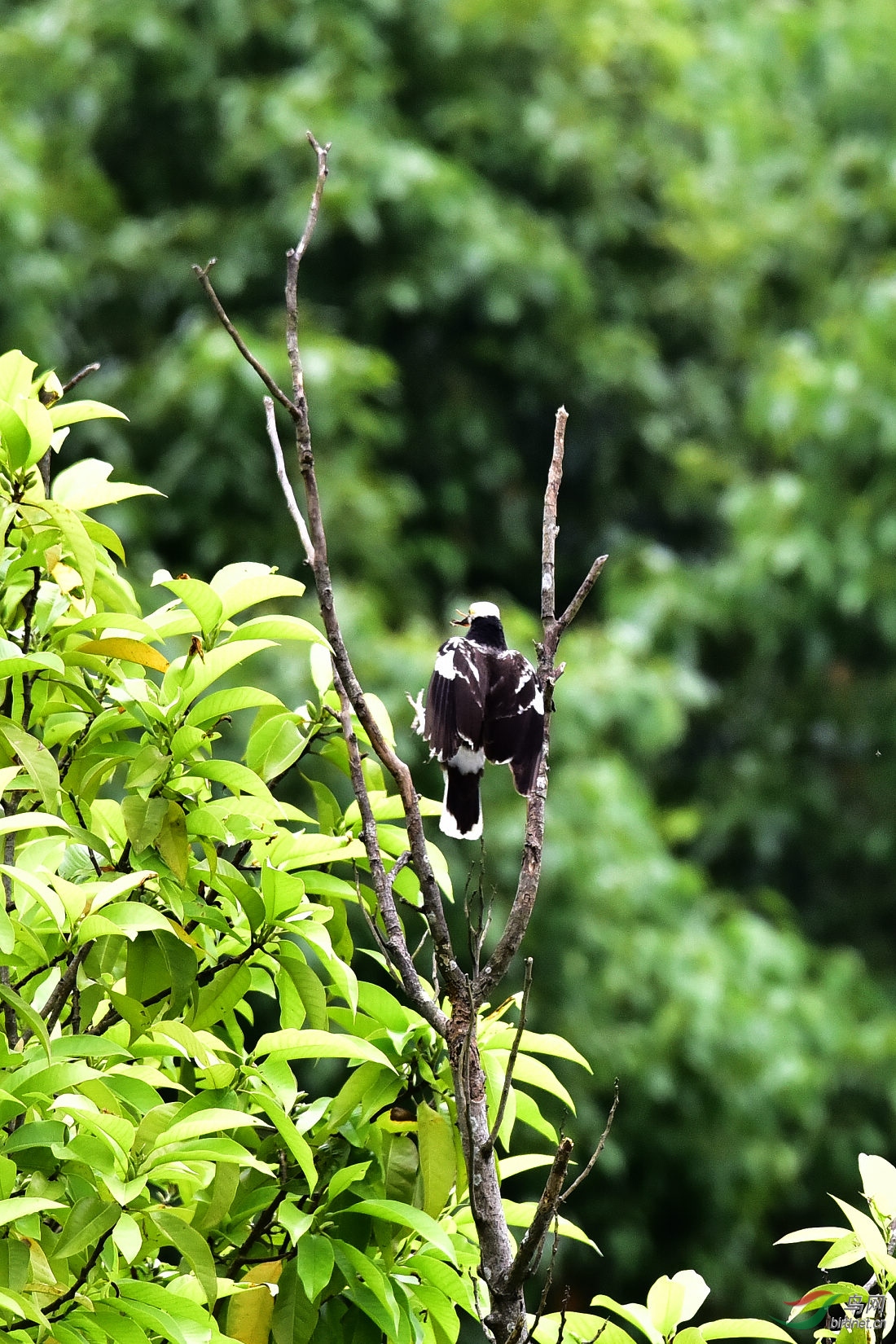 DSC_0667.JPG
