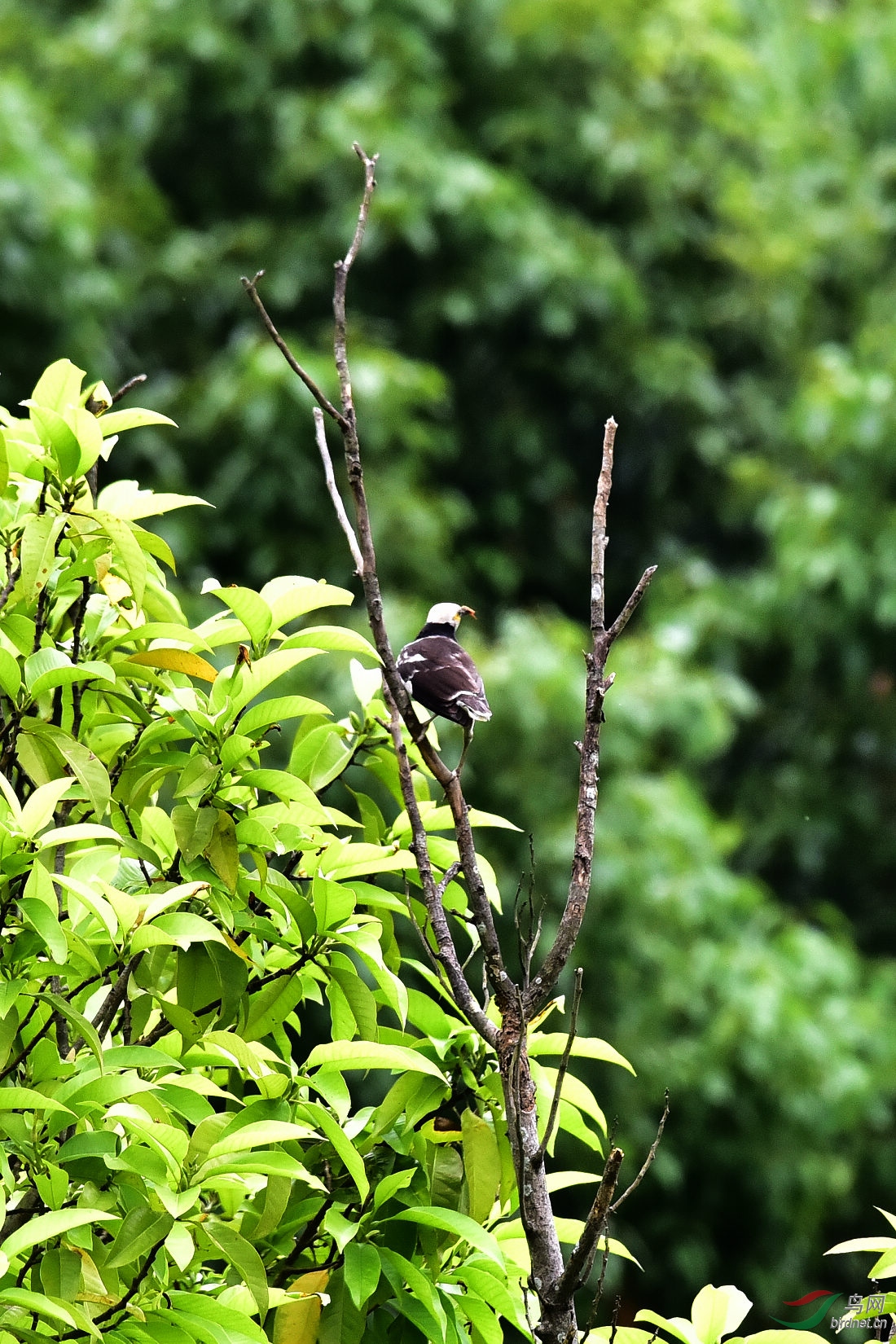 DSC_0668.JPG