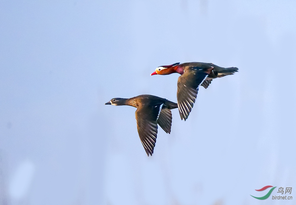 ԧ��10 - ����.jpg