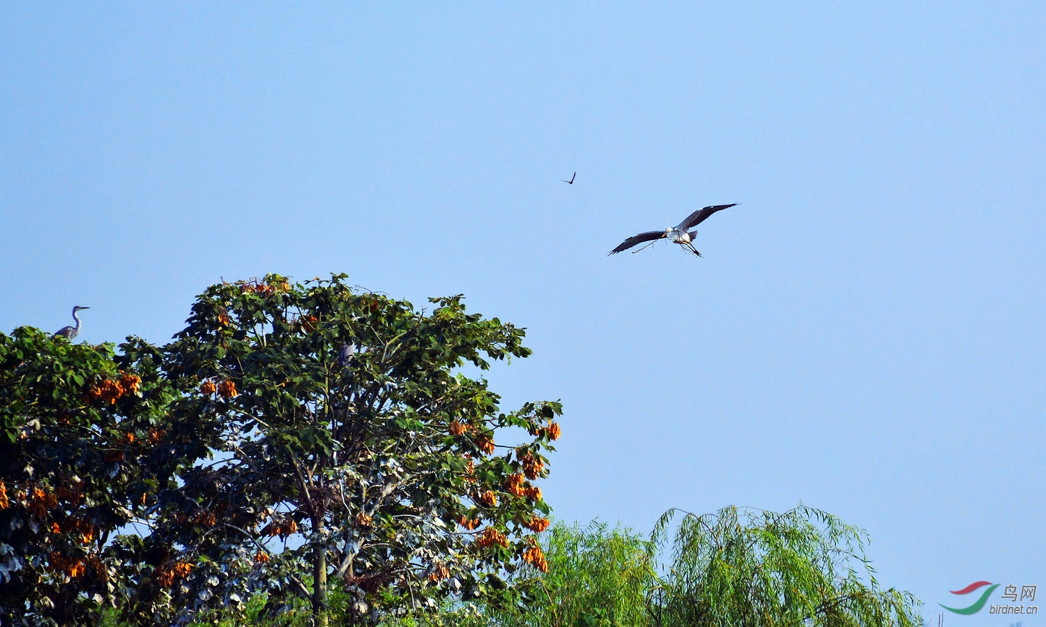 DSC_0969.JPG