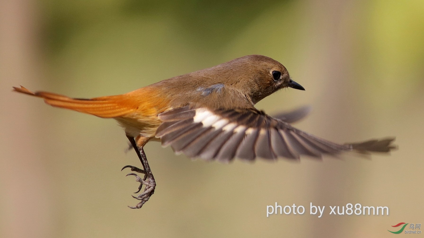 ����Լ8��