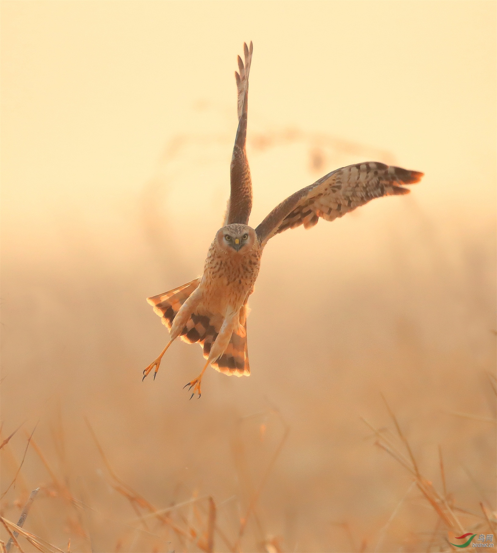 22 - ����.JPG