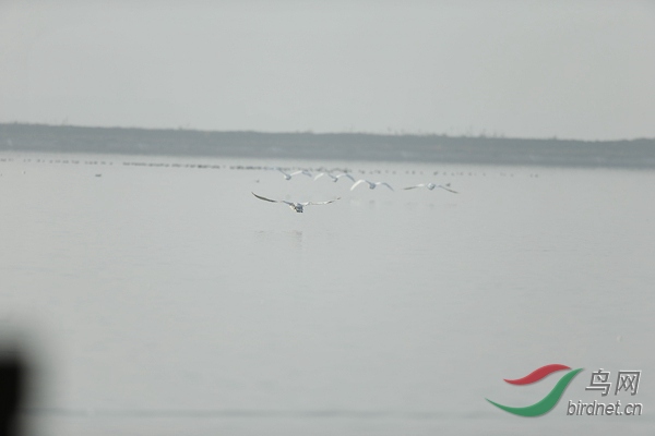 _E8J1074.jpg