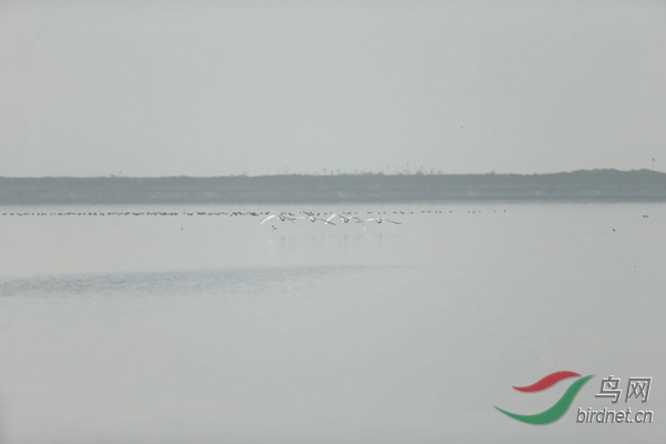 _E8J1070.jpg