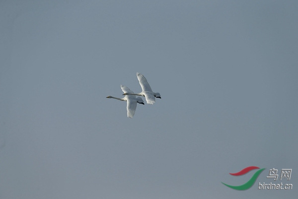 _E8J1117.jpg