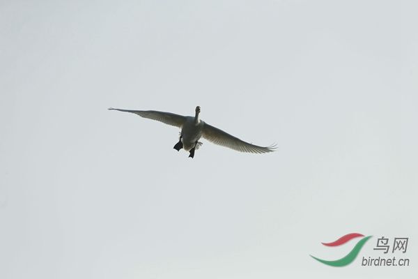 _E8J1109.jpg