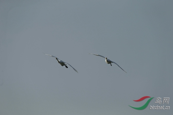 _E8J1124.jpg