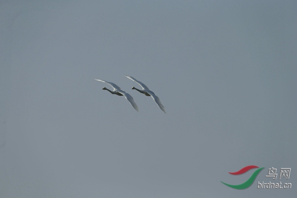_E8J1122.jpg