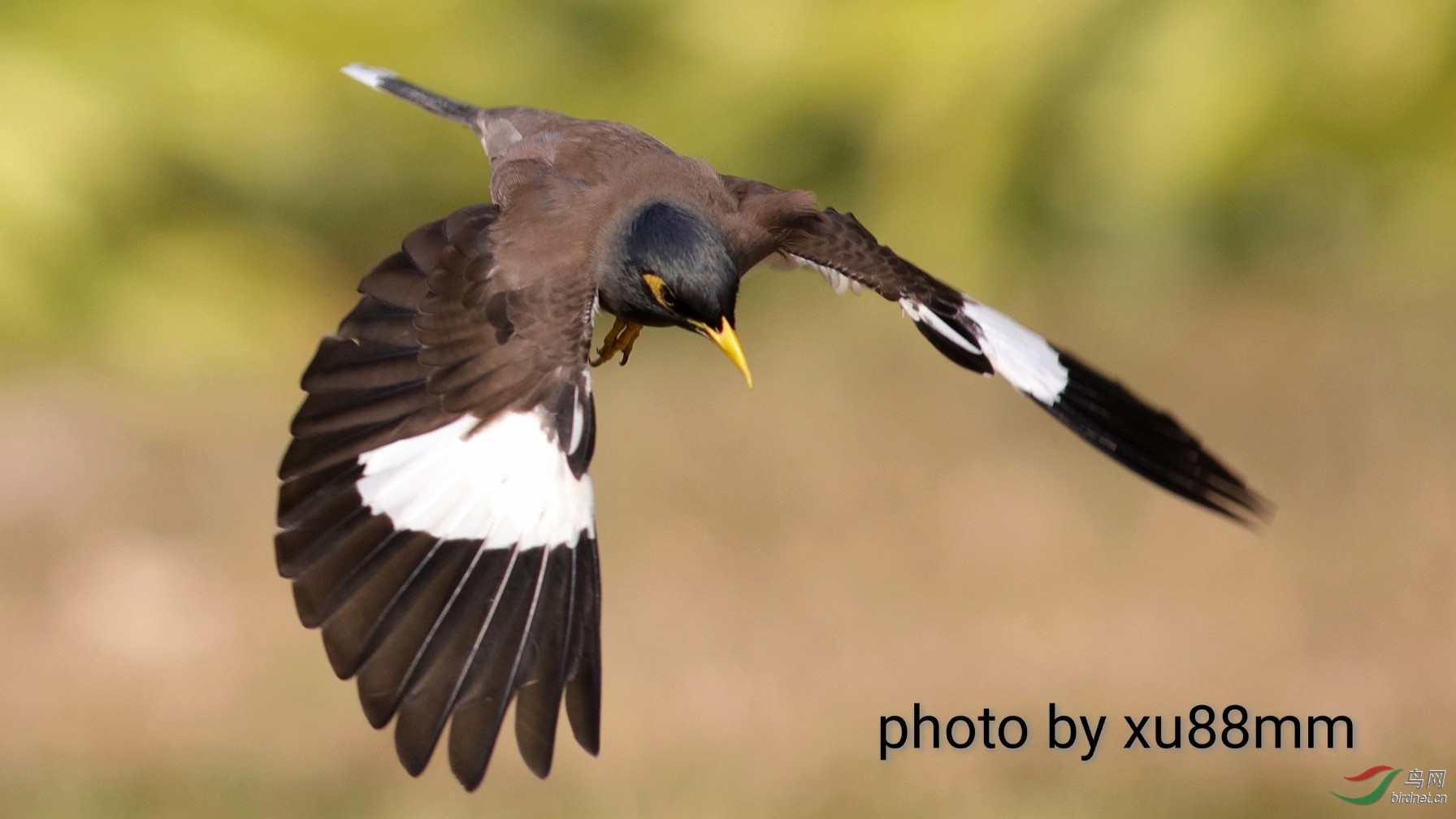 ����Լ10��