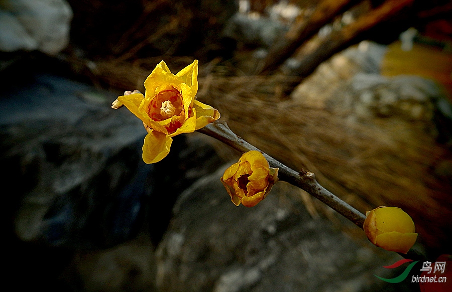 PC221154.jpg