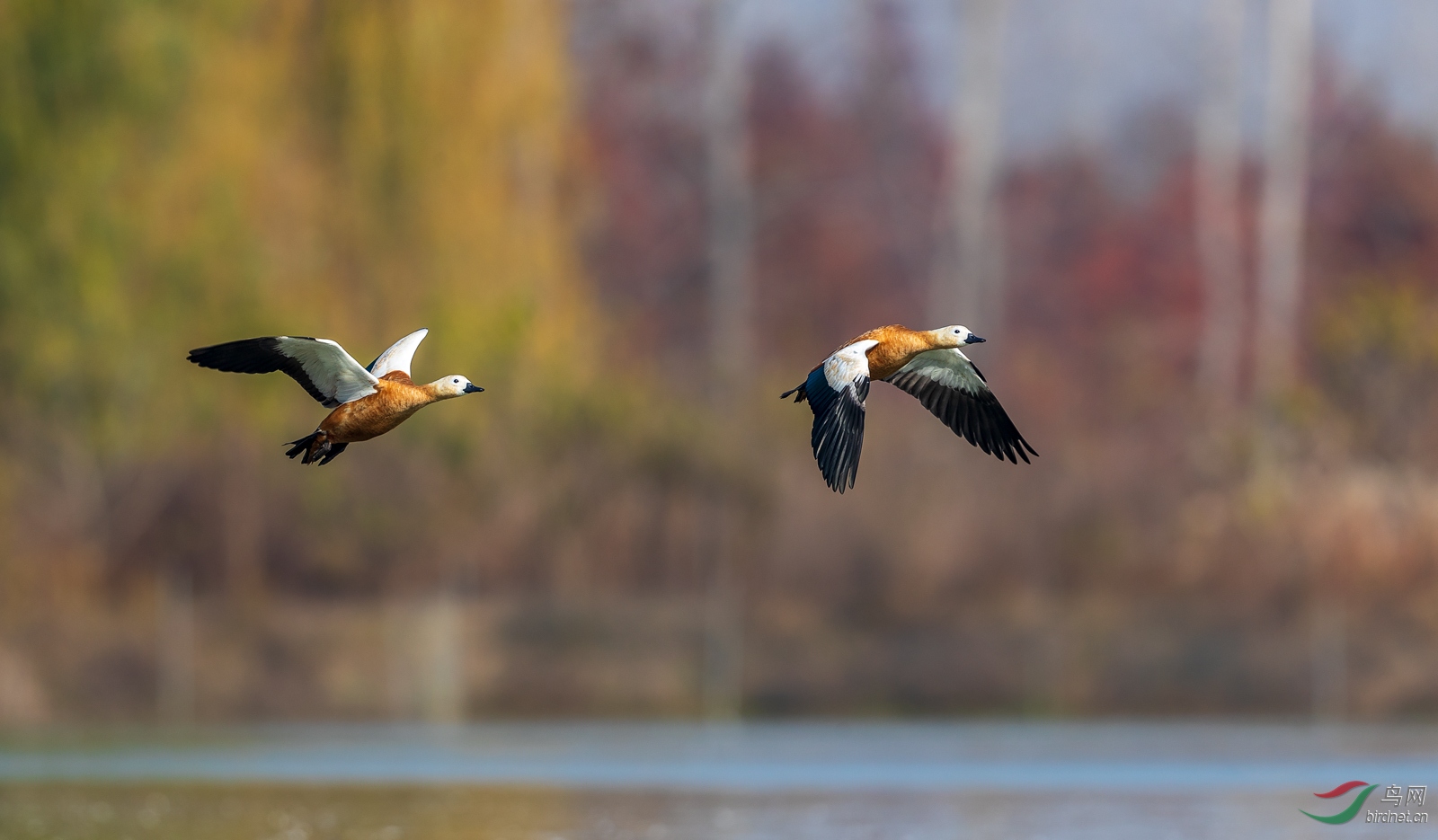 1DX_6056-Pano.jpg