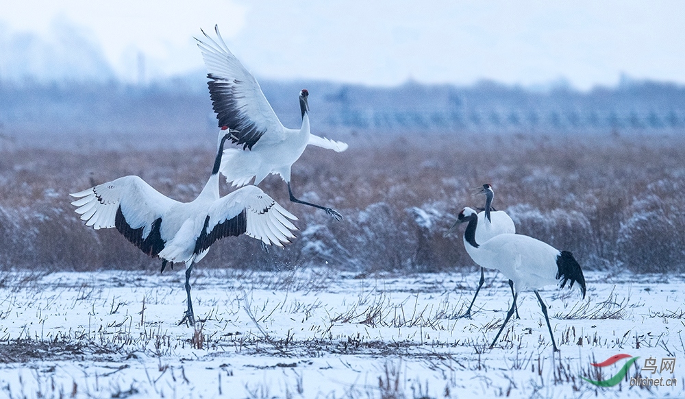 _DSC2050_��ͼ��.jpg