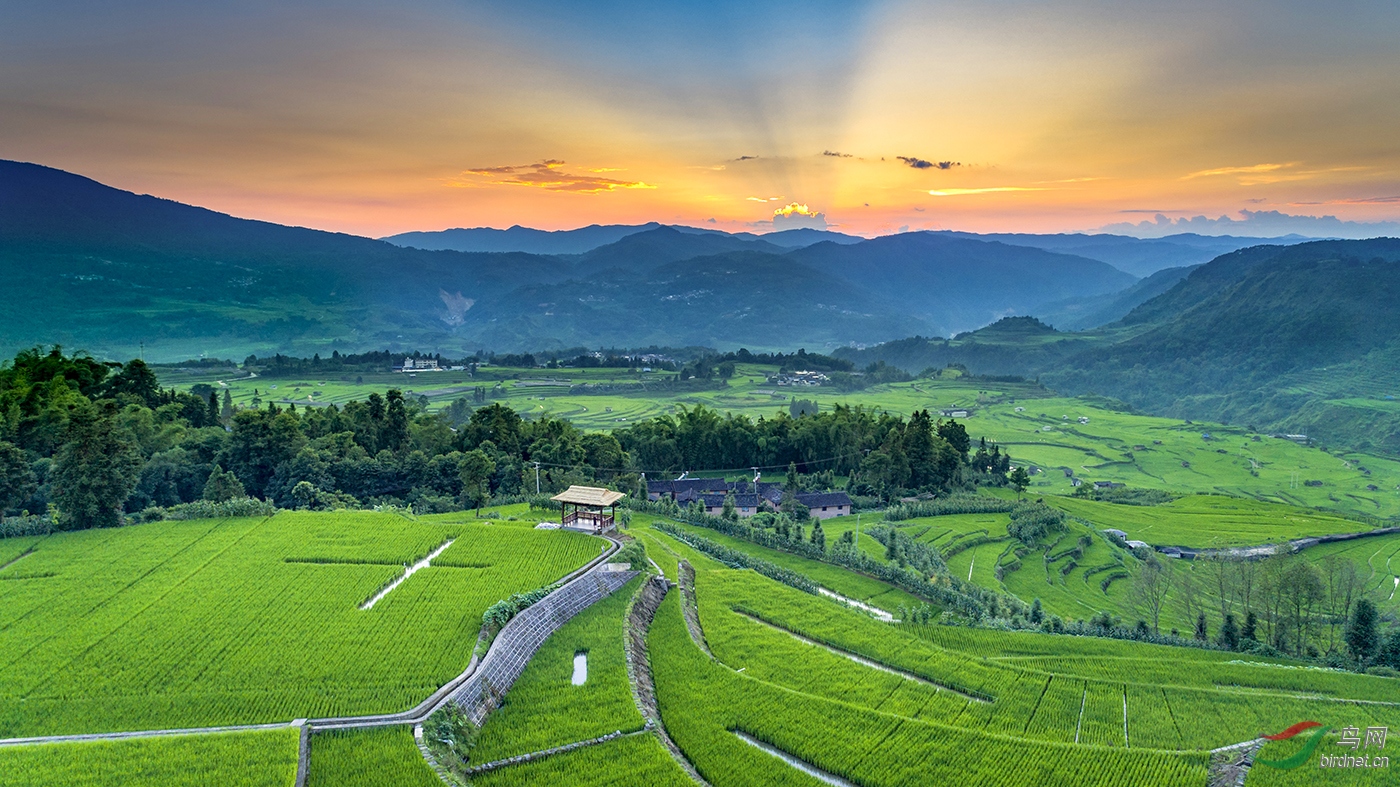 ���� C2 ������.jpg