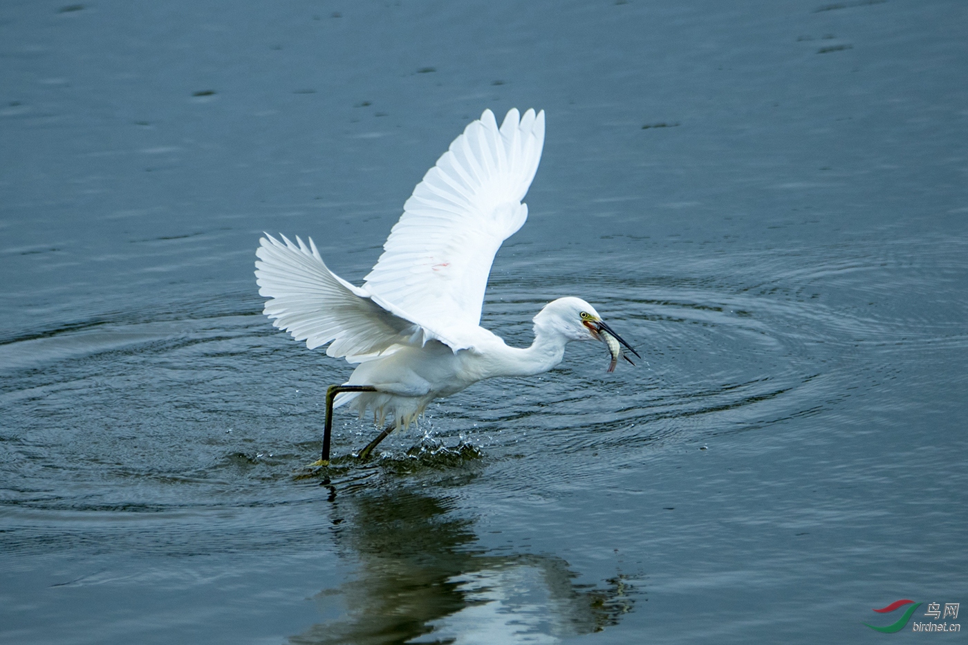 �ı�  A1 ���������֡�.jpg