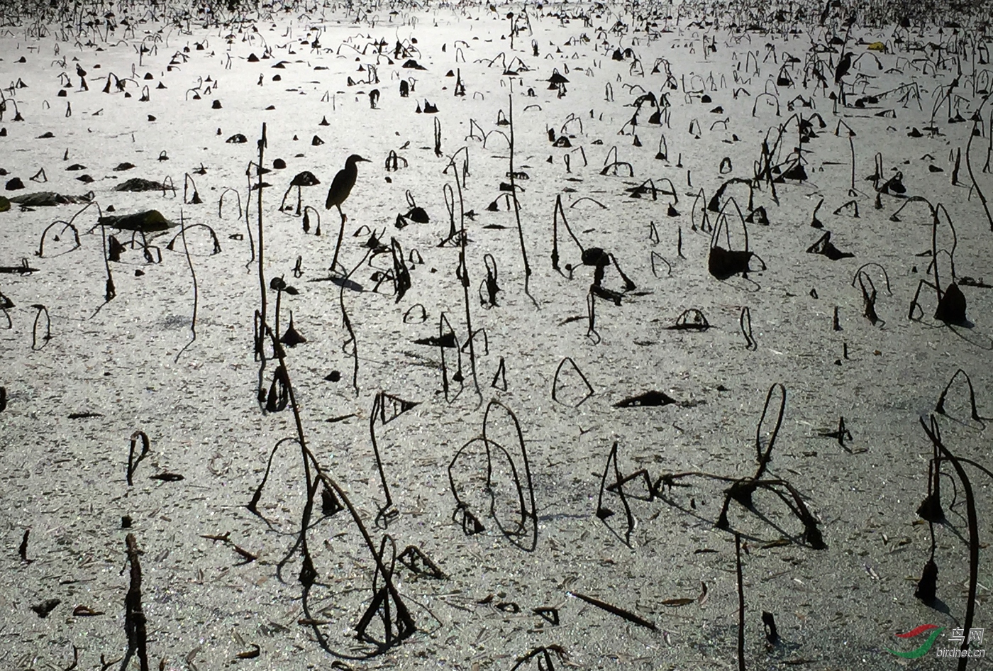 �ܽ��� D ���պ���.jpg