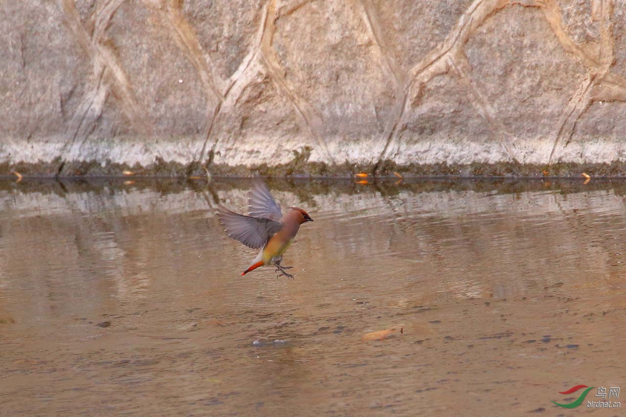 aIMG_2878.JPG