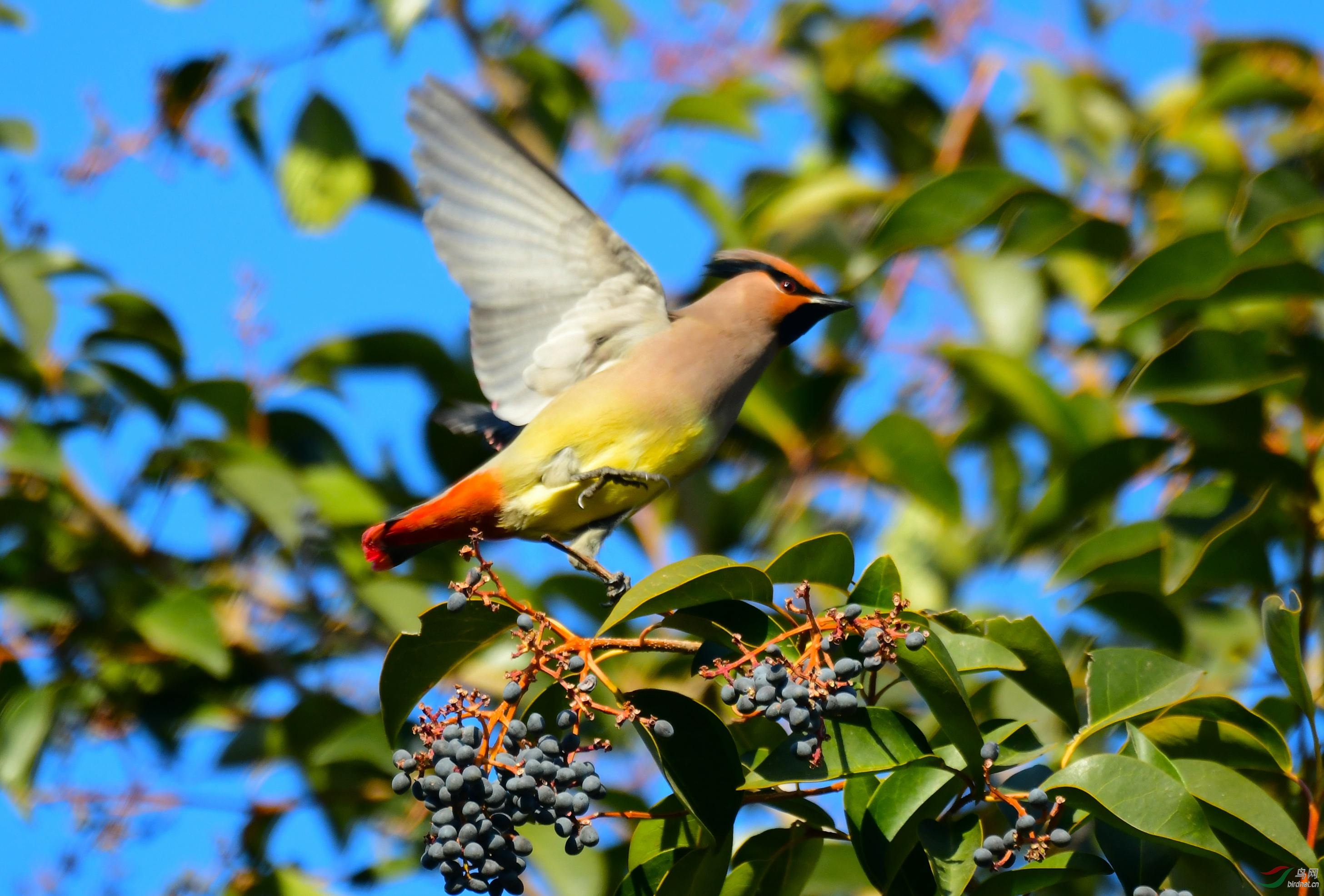 DSC_9573.JPG