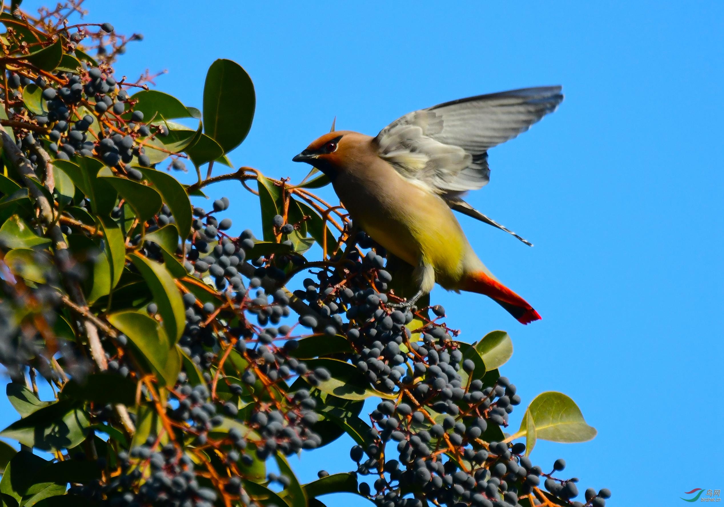 DSC_9874.JPG