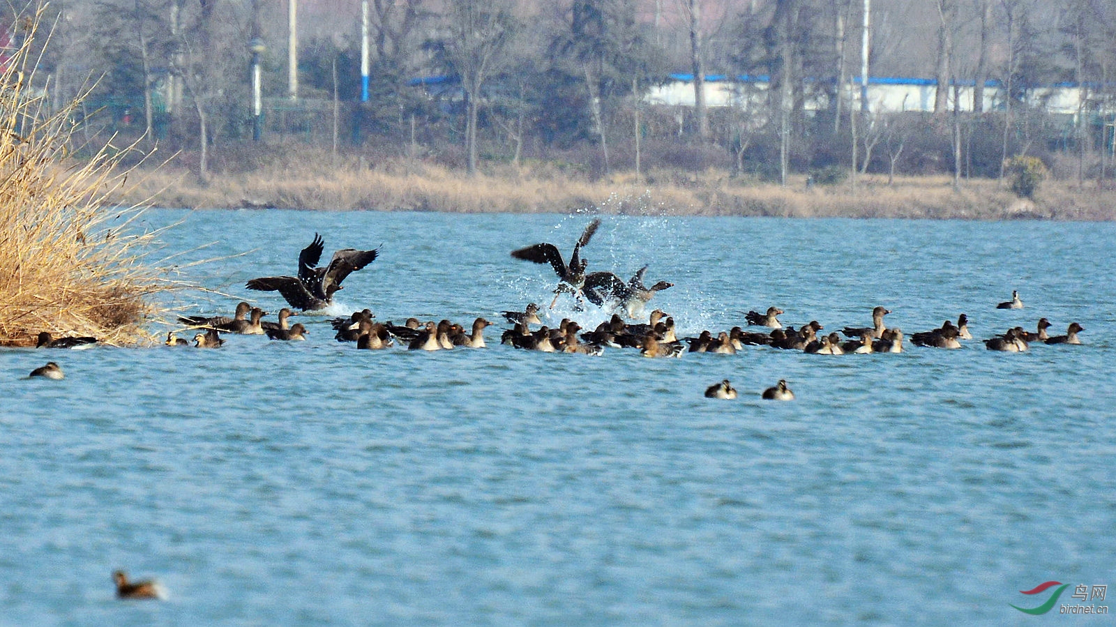 DSC_8554.JPG