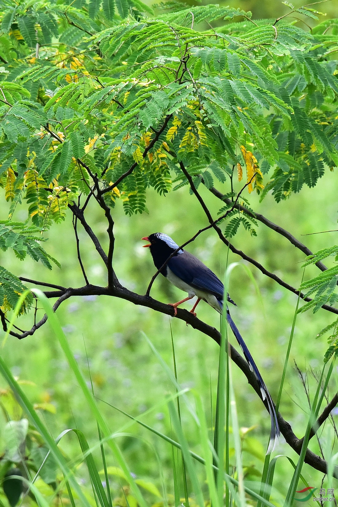 DSC_1102.JPG