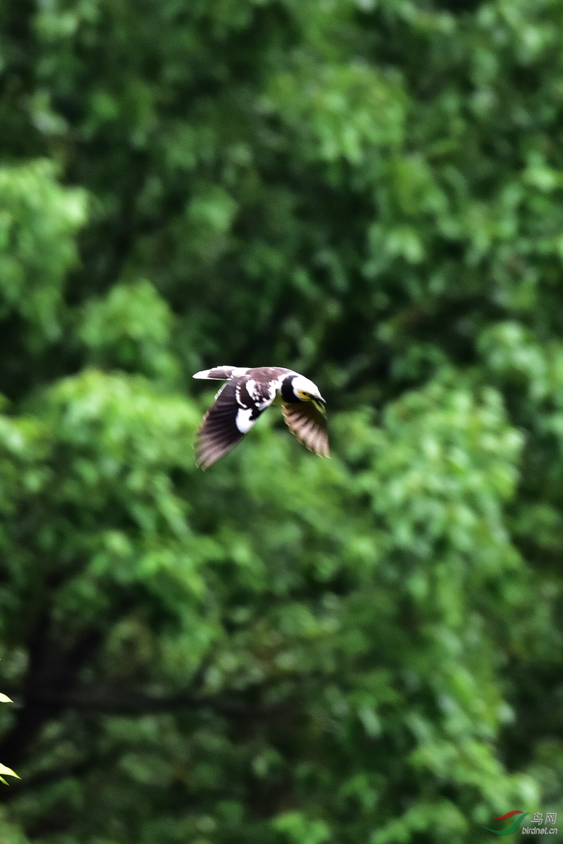 DSC_0671.JPG