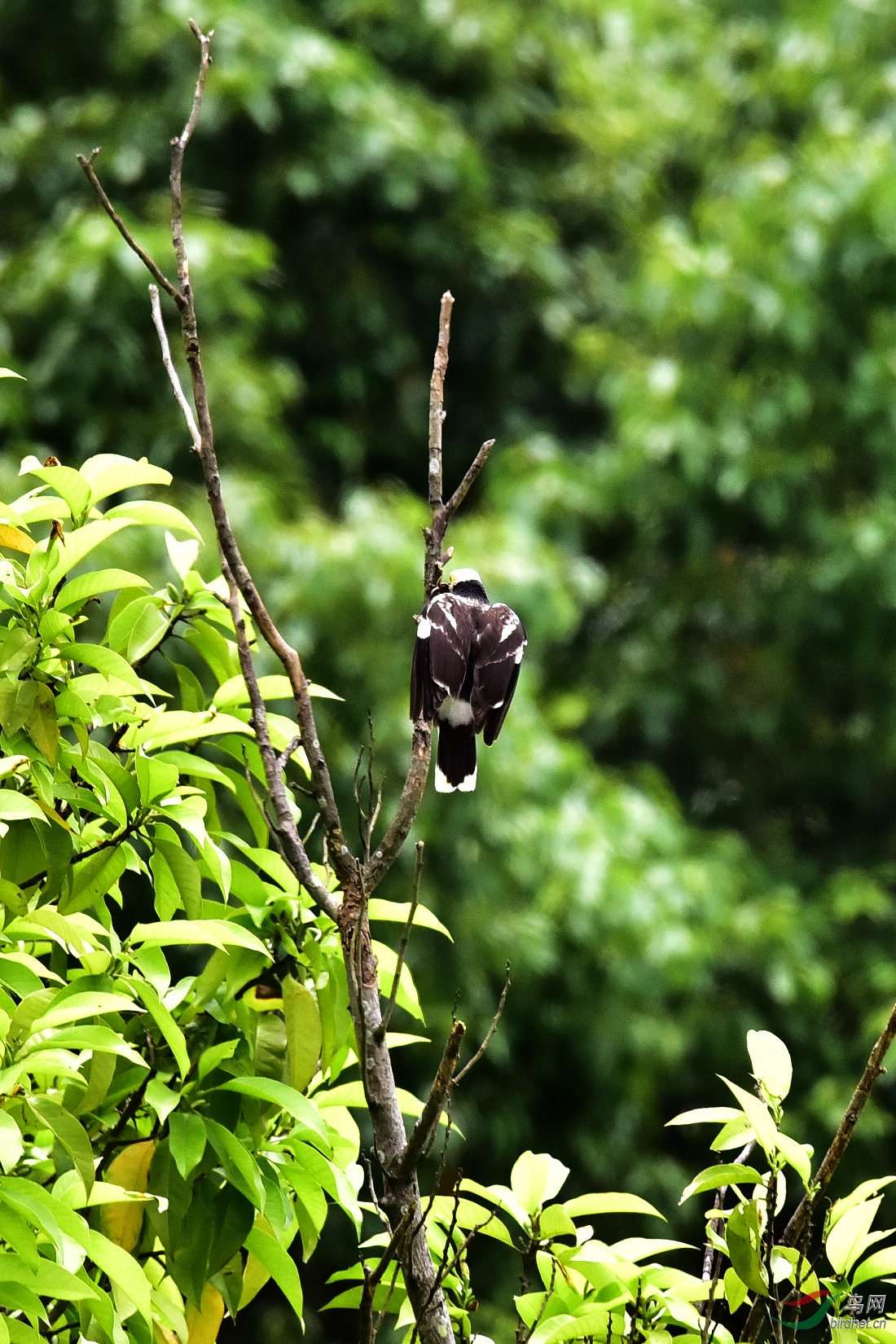 DSC_0672.JPG