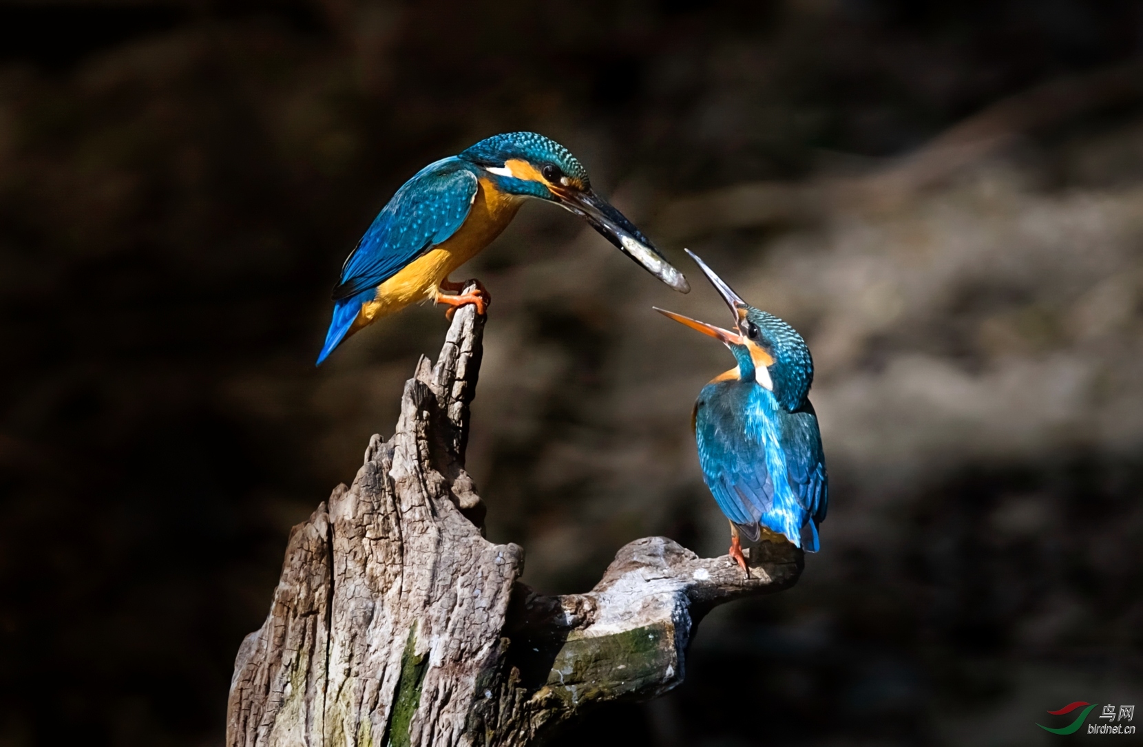 DSC_6855.jpg