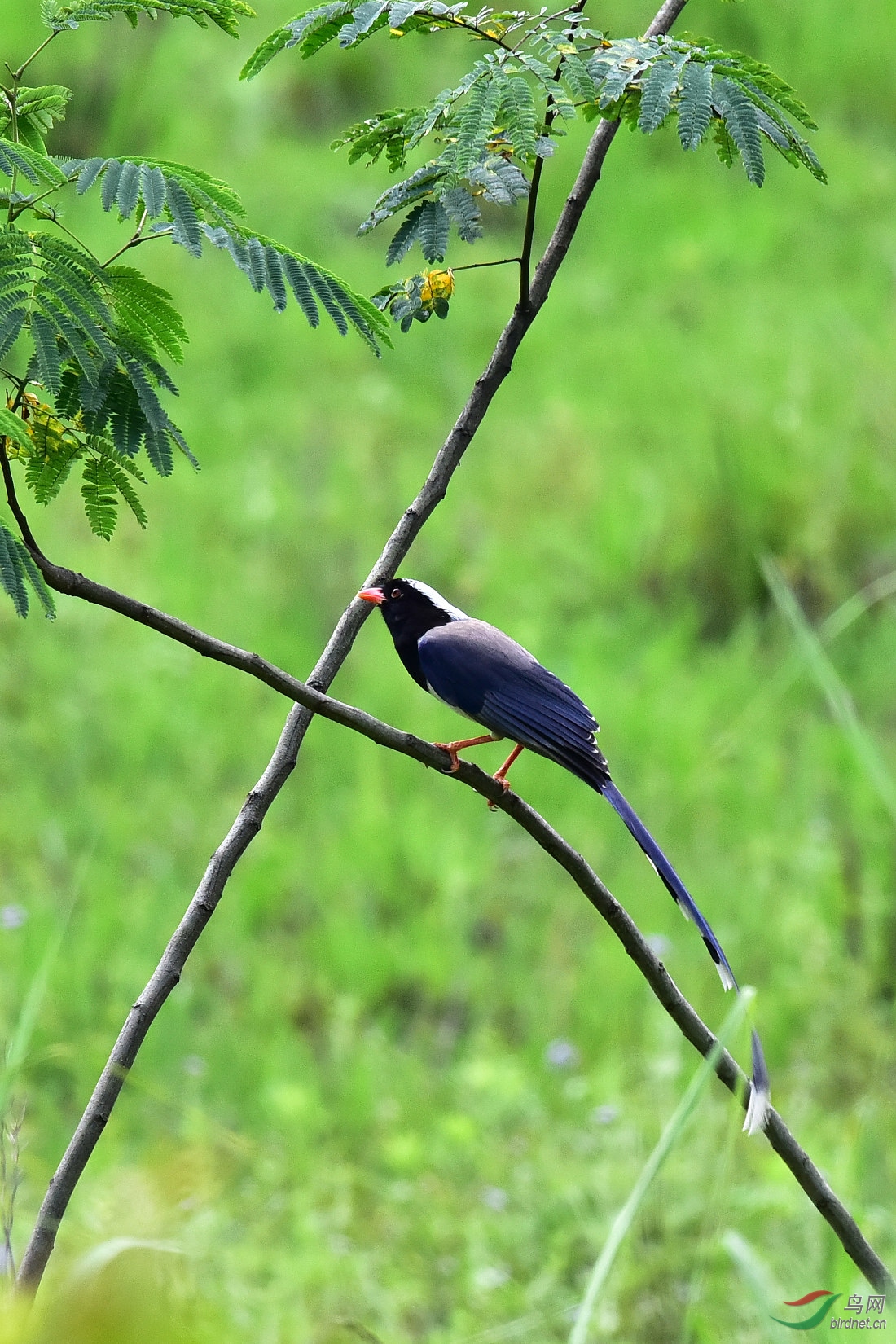 DSC_1104.JPG