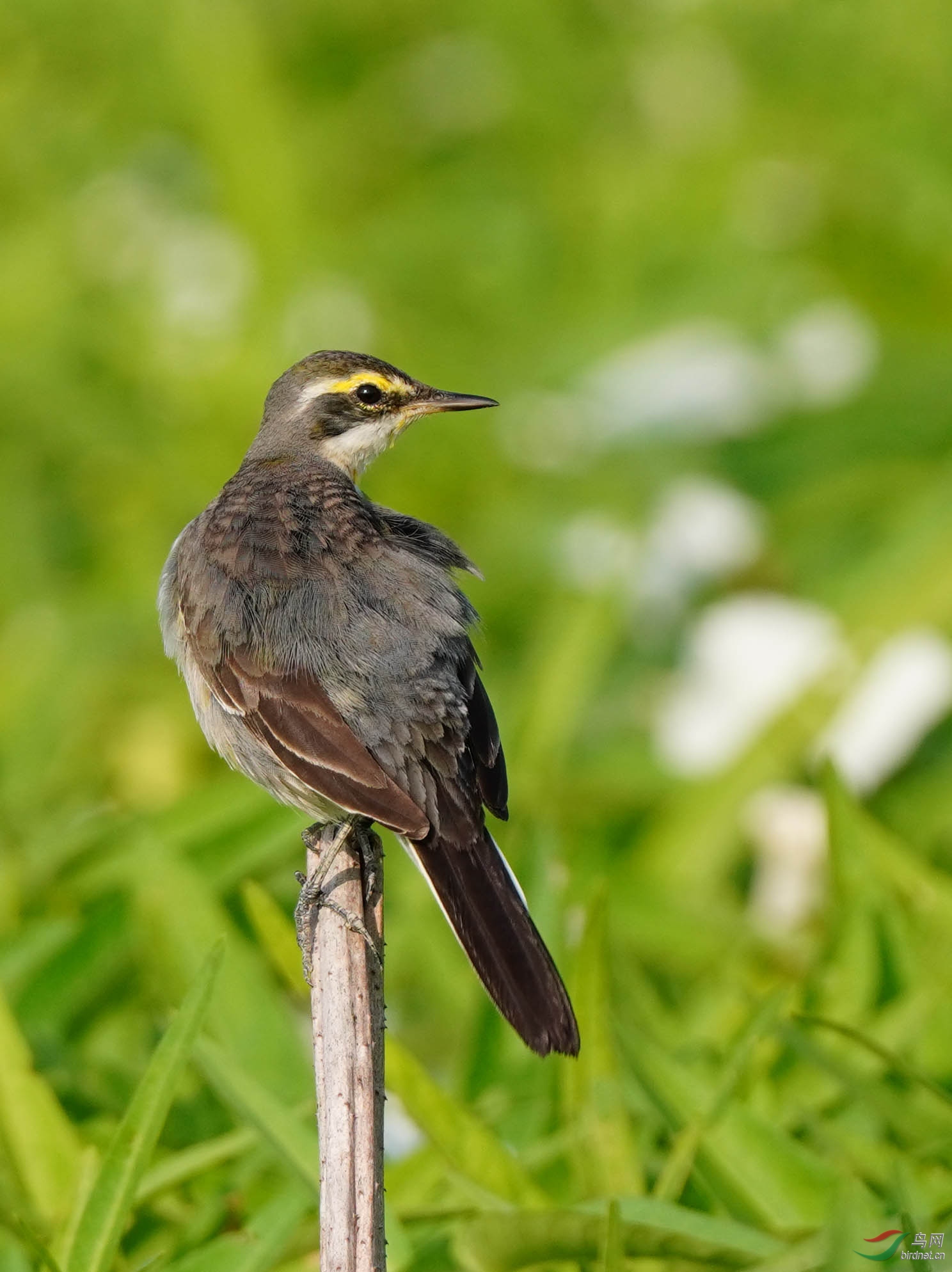 DSC00724 ��ؐ.jpg