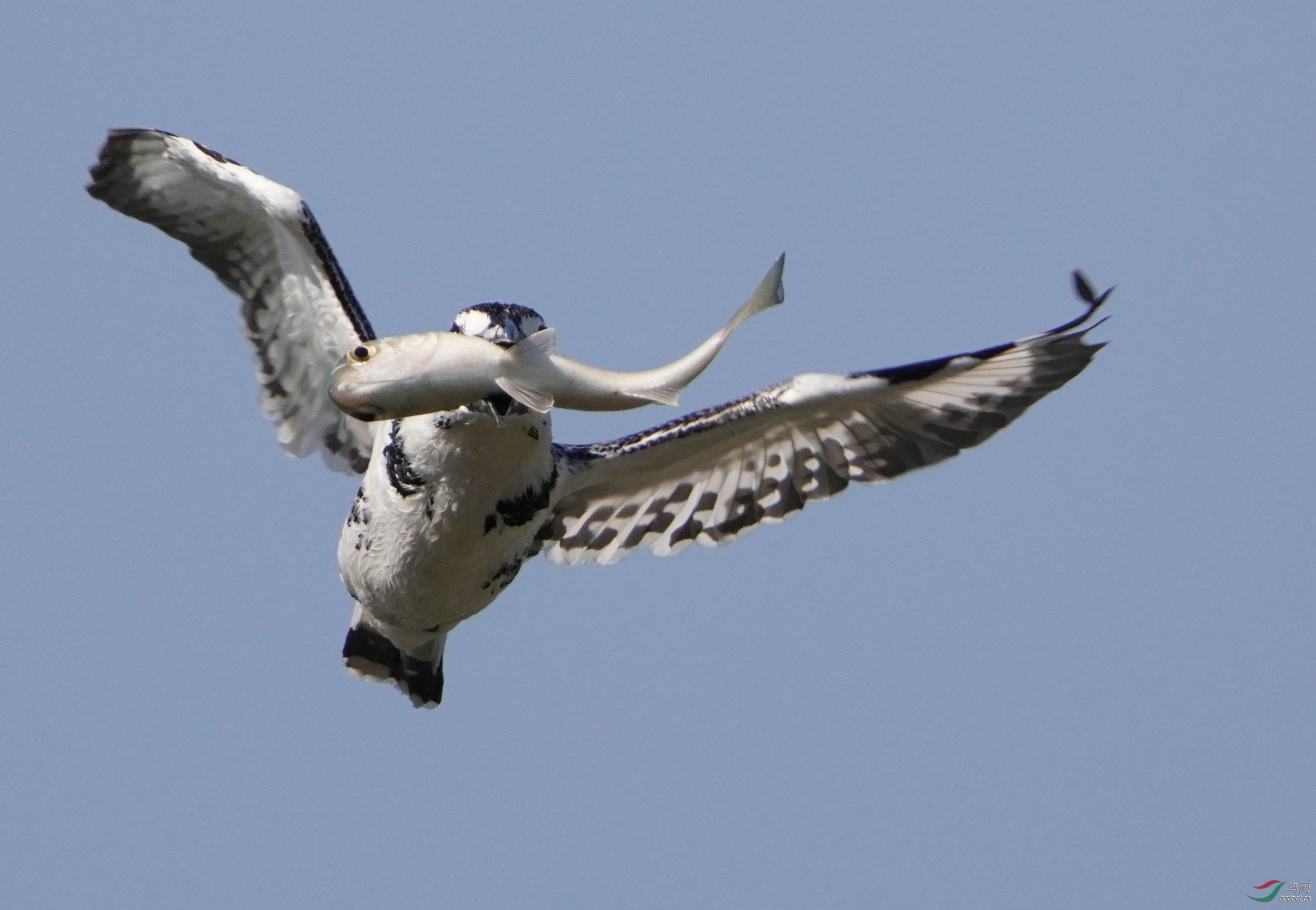 DSC06839 ��ؐ.jpg