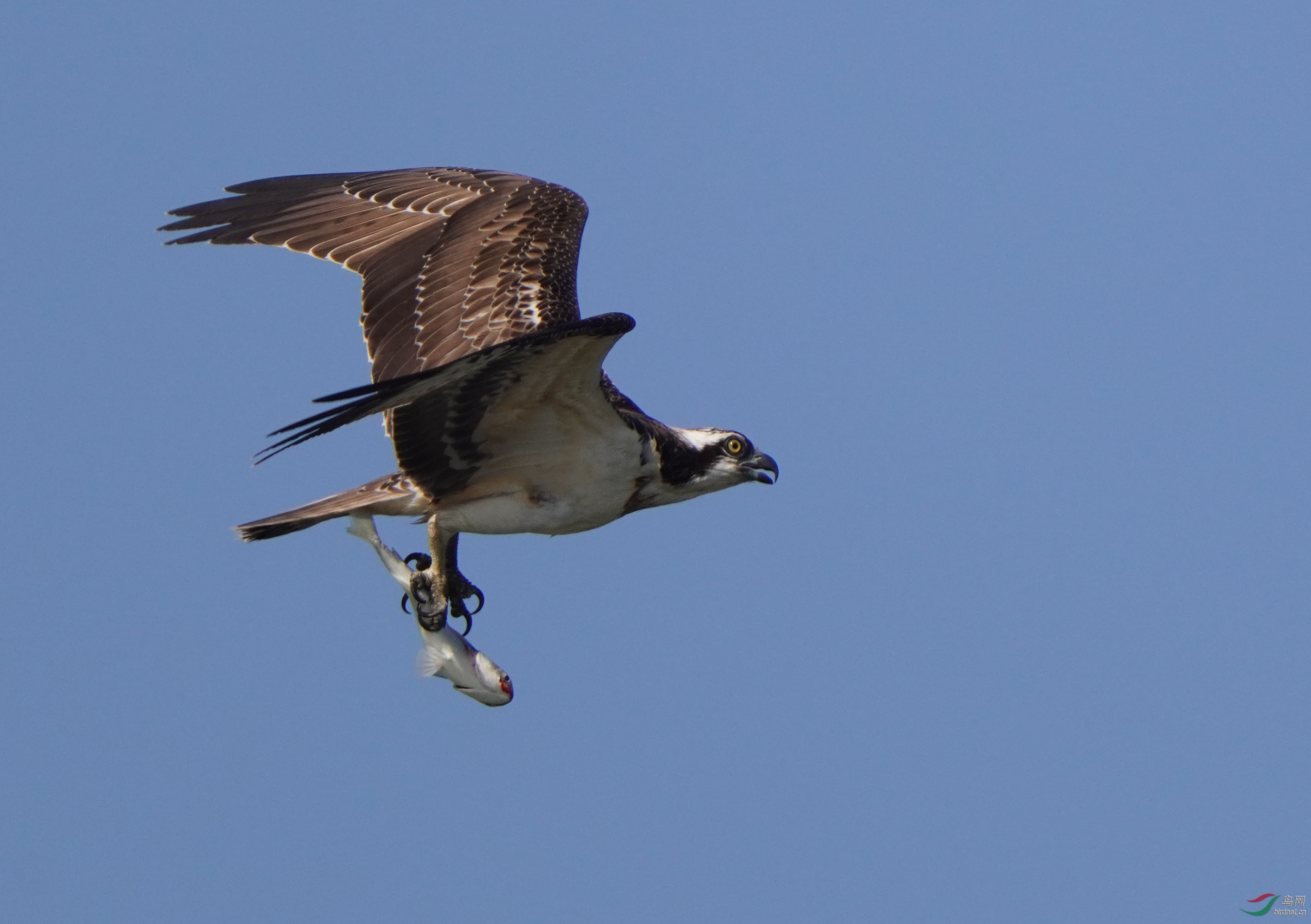 DSC00073 ��ؐ.jpg