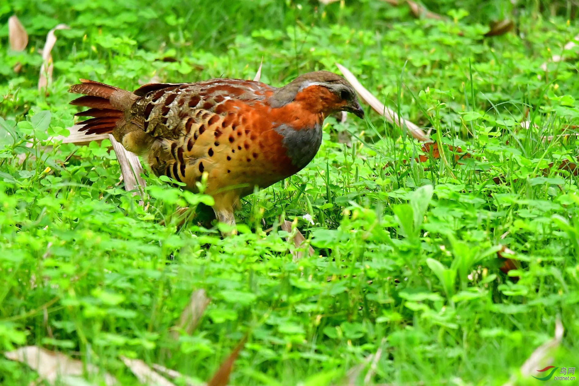 DSC_9002_����.jpg