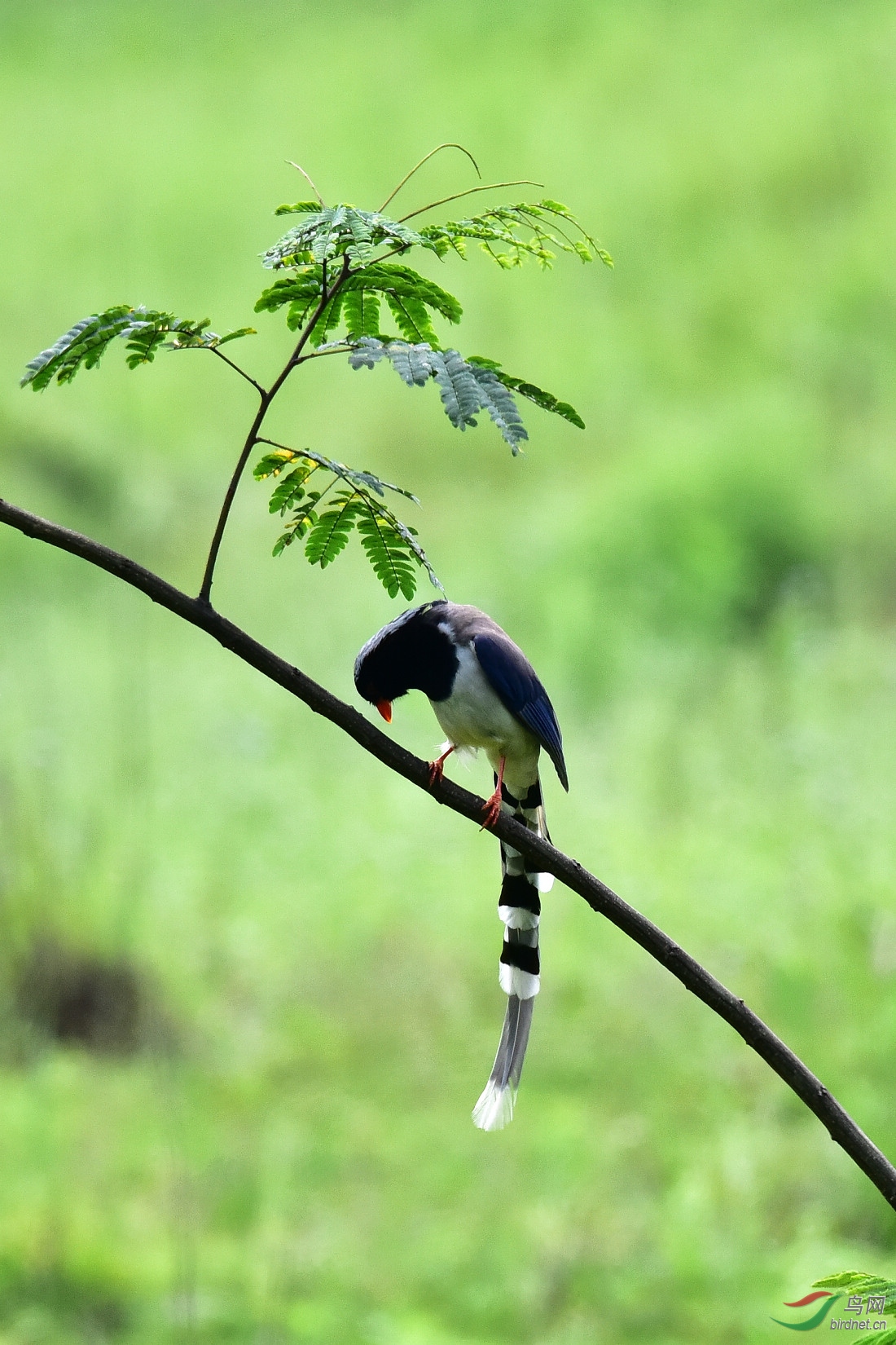 DSC_1112.JPG