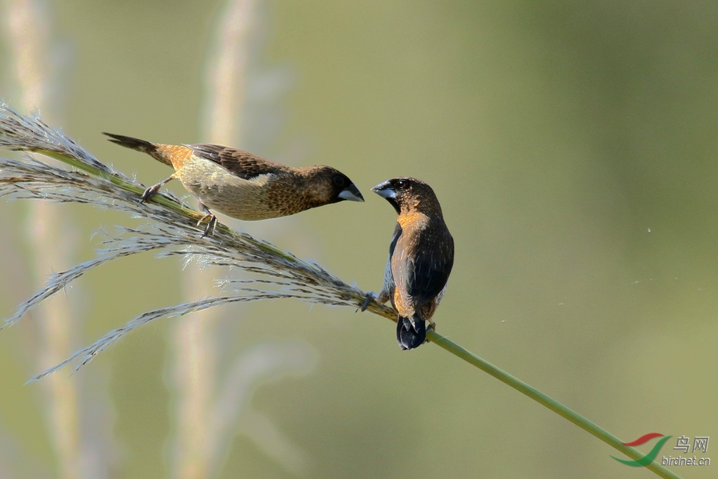 367A0882_����.jpg