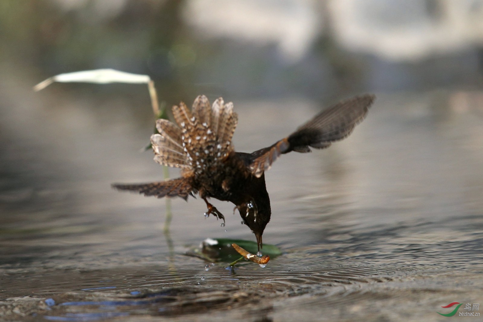 20130202 157.jpg