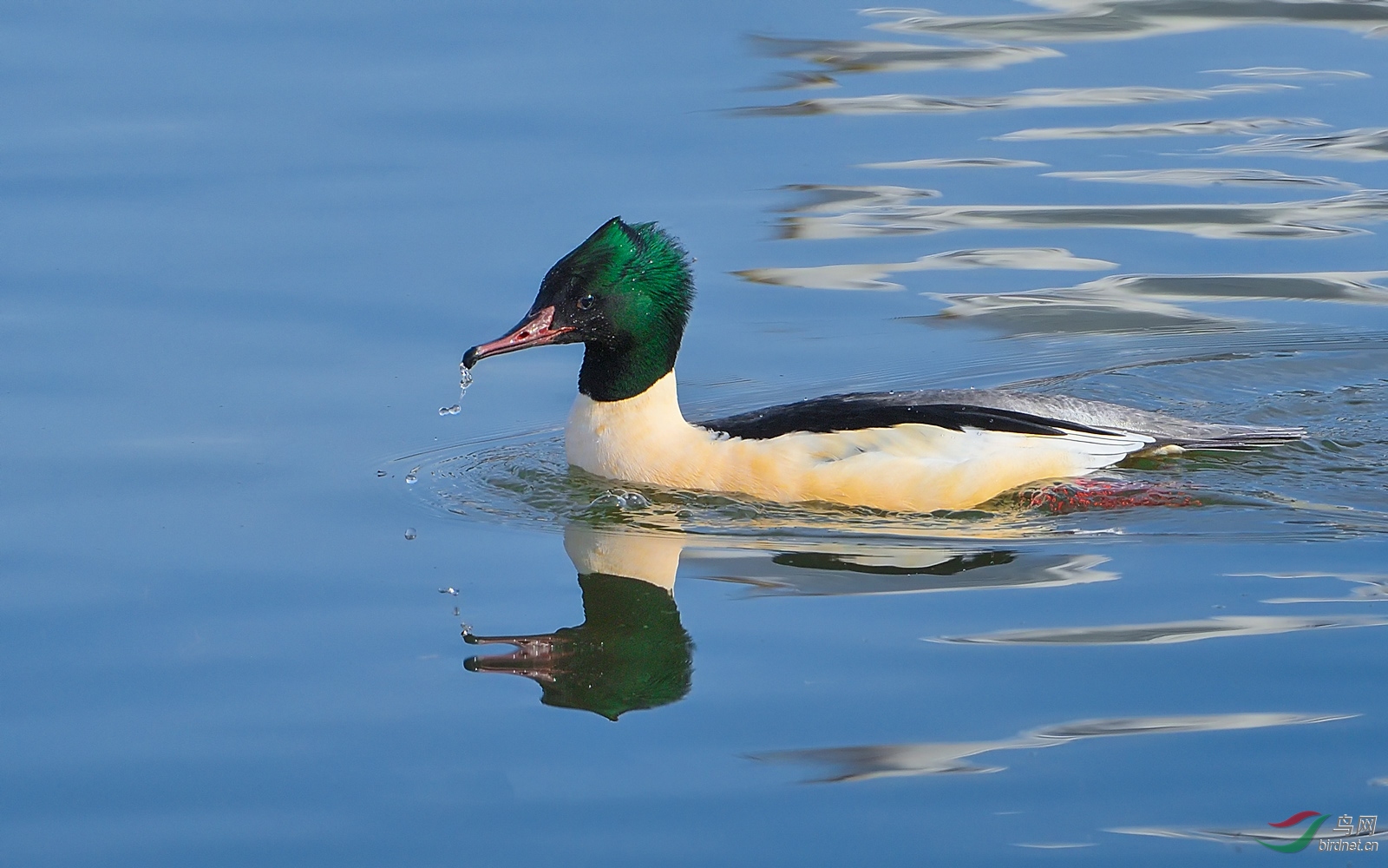 DSC_5969.jpg