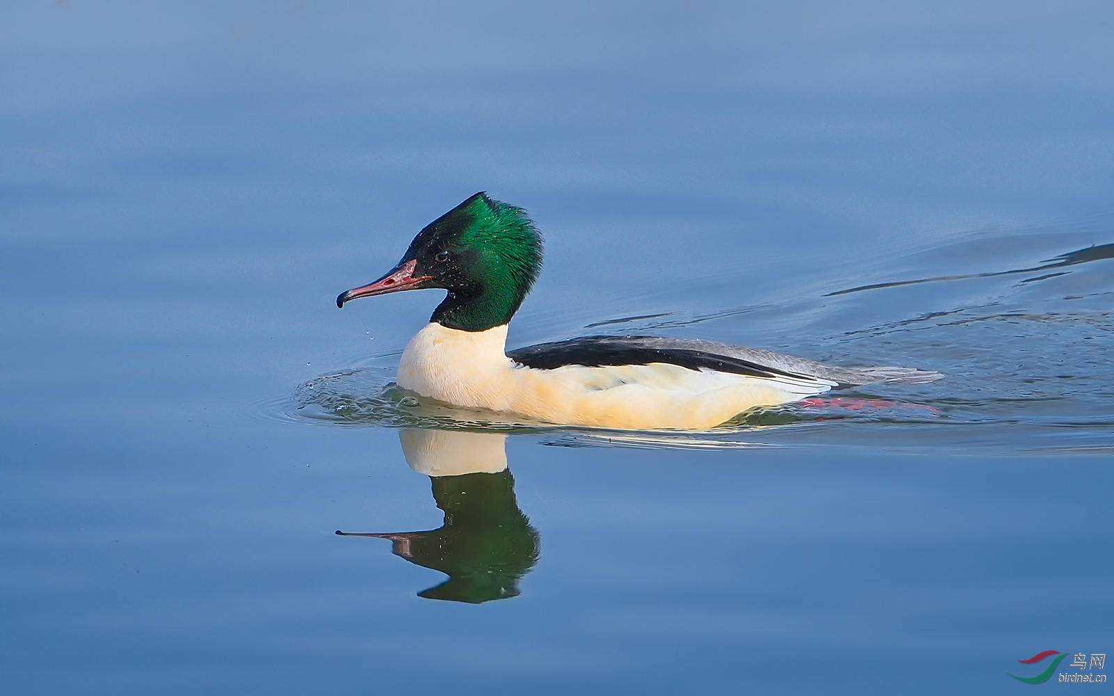 DSC_5977.jpg