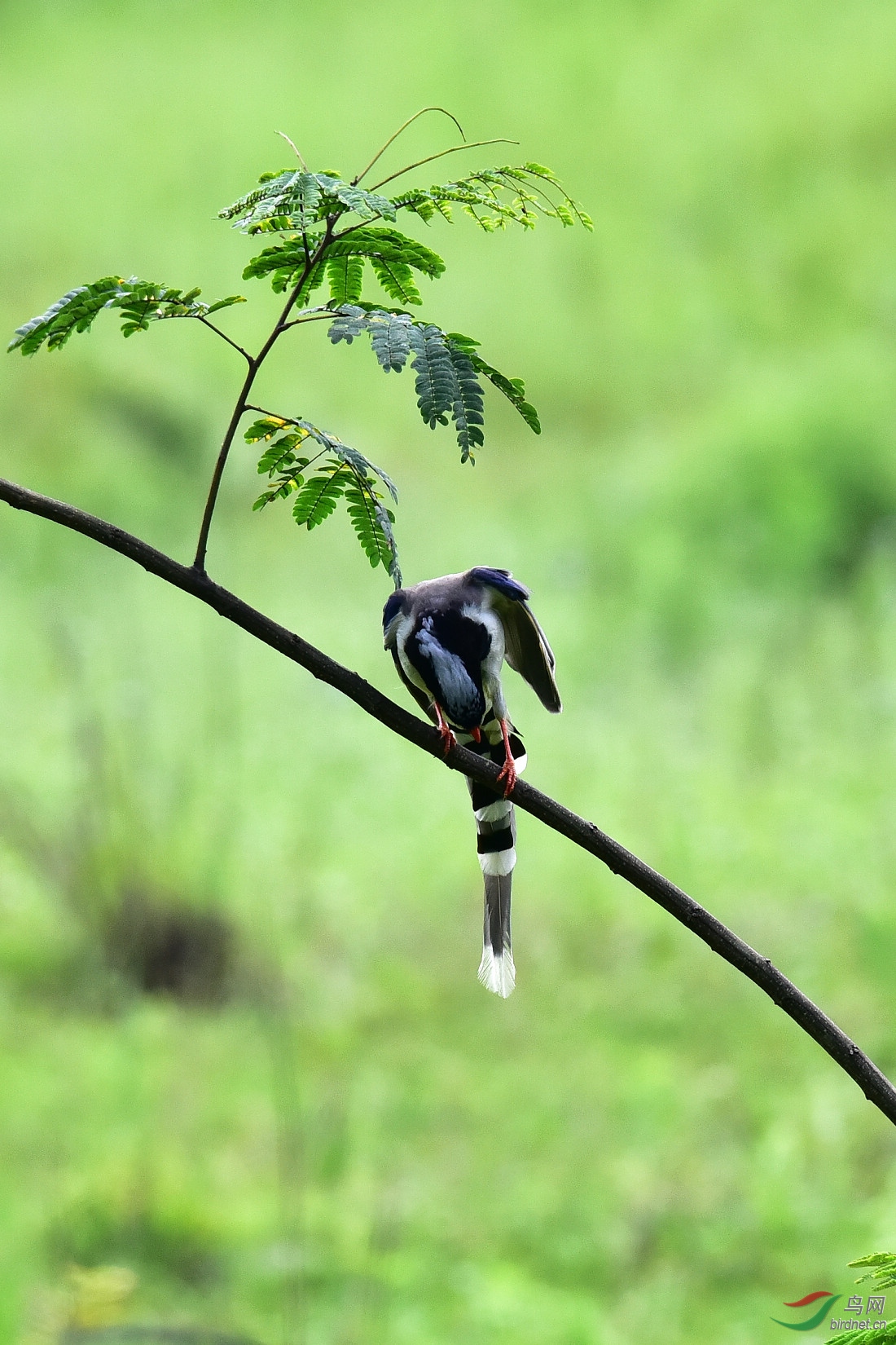 DSC_1114.JPG