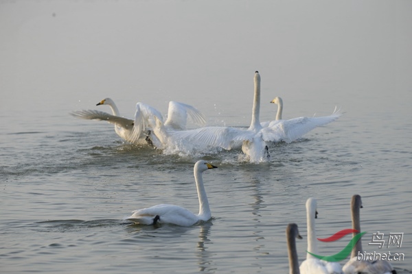 _E8J0226.jpg