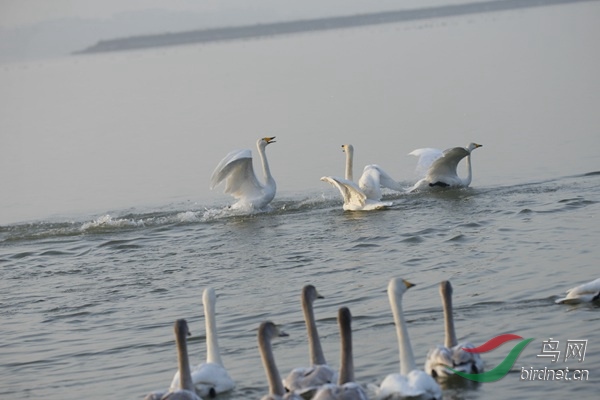 _E8J0232.jpg