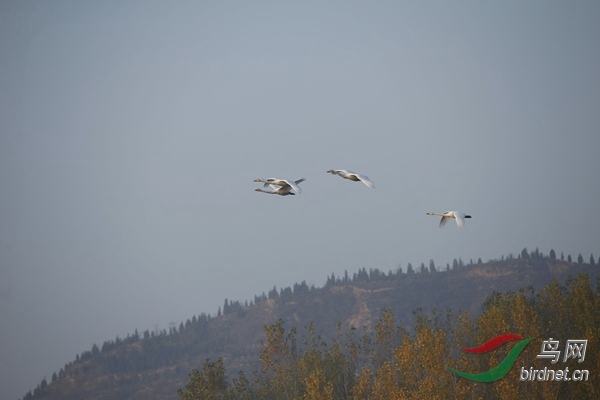 _E8J0257.jpg
