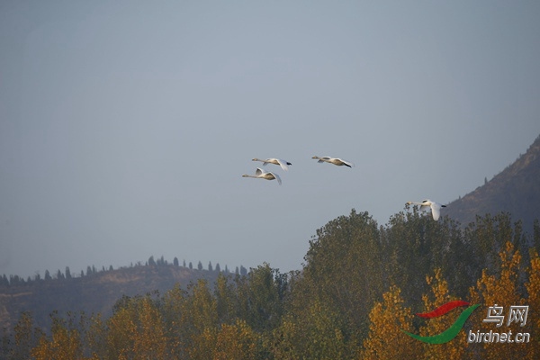 _E8J0252.jpg