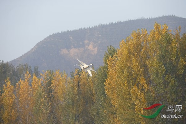 _E8J0308.jpg