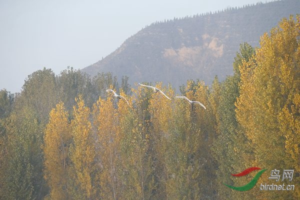 _E8J0302.jpg